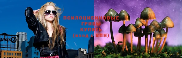 мдпв Верхний Тагил