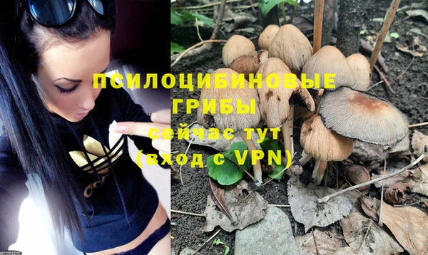 бошки Володарск